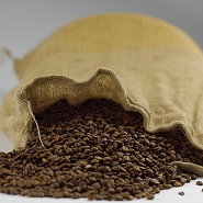 types of coffee beans